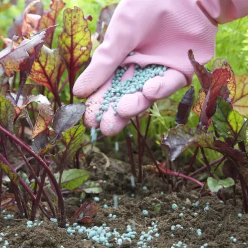 علائم نیاز گیاهان به کود و راهنمای جامع تغذیه صحیح گیاهان